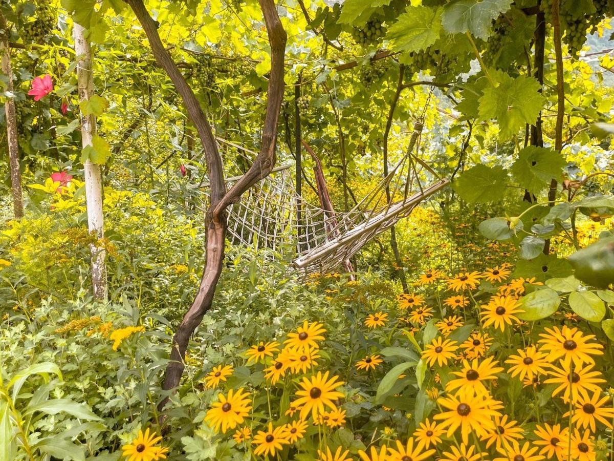 Guest House Oasis - Tvishi 외부 사진
